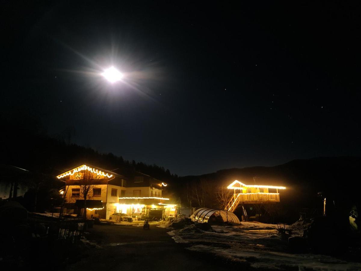 Schöne Ferienwohnung im Naturpark Grebenzen Sankt Lambrecht Exterior foto