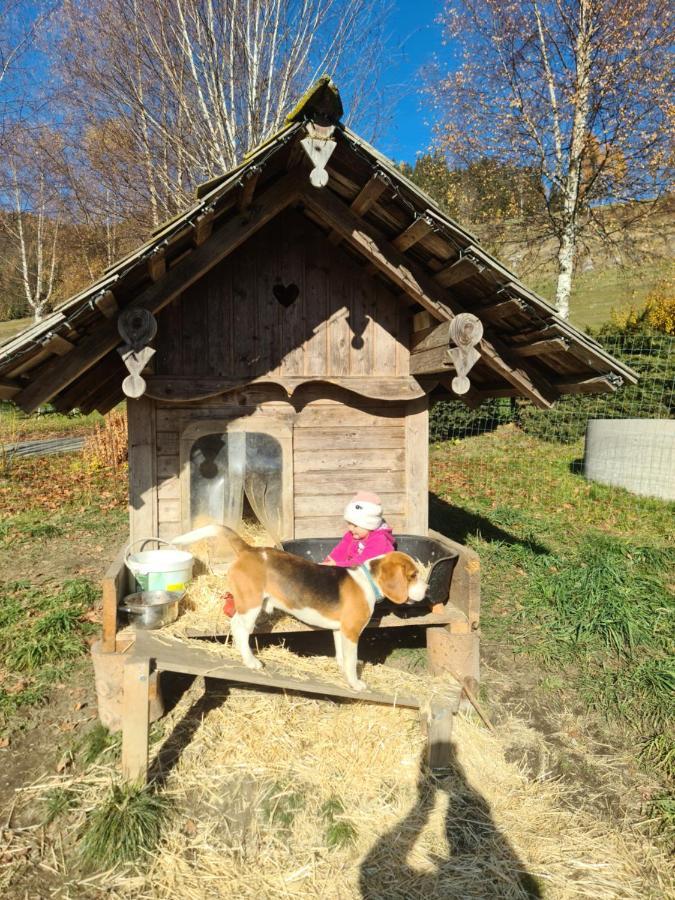 Schöne Ferienwohnung im Naturpark Grebenzen Sankt Lambrecht Exterior foto